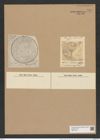 Pseudauliscus elaboratus (Ralfs.) Rattr. (de-Toni-Nr.: Genus 172, Species 4422) Zeichnungen Sammlung Grunow Nr. 7981 (NHMW-BOT-W0377273)